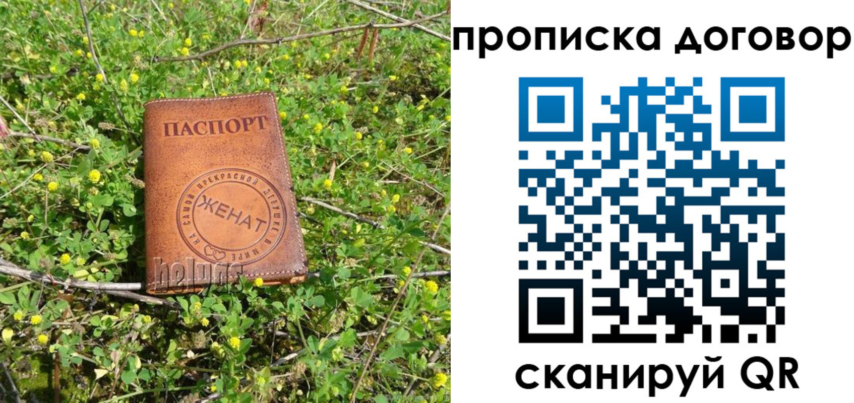 прописка регистрация в Дубне